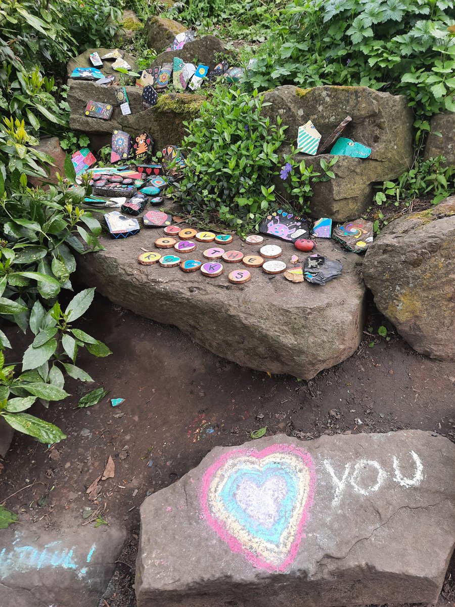 BDCFT Volunteer Service tweet media