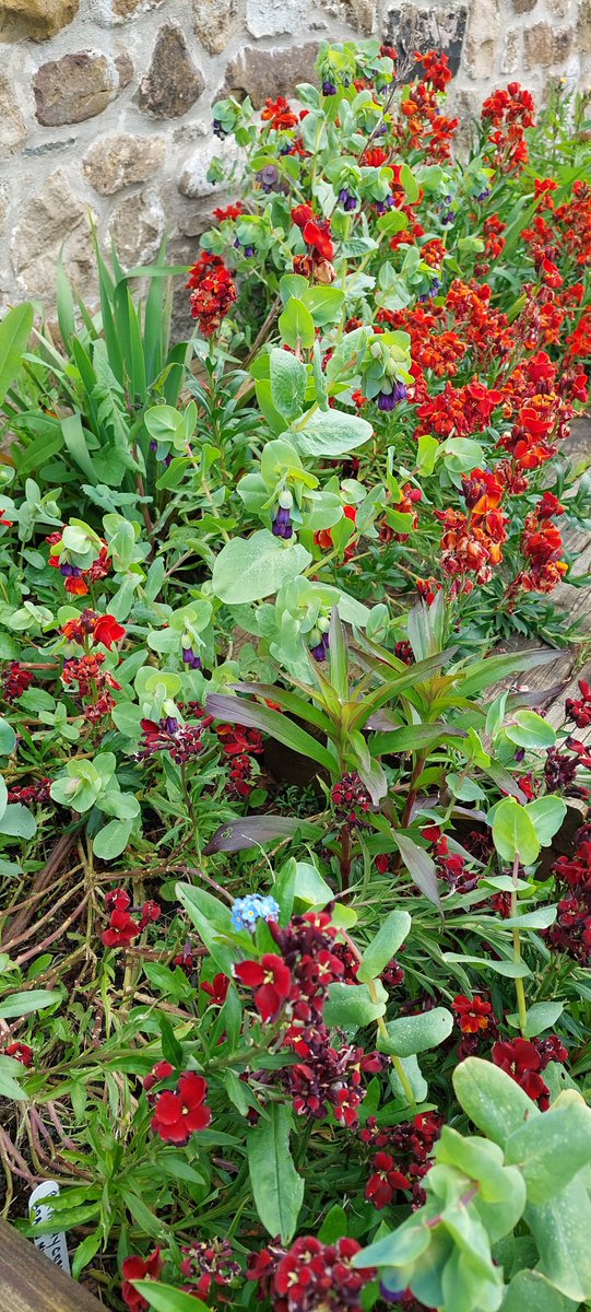 Woodland Routes to Wellbeing tweet media