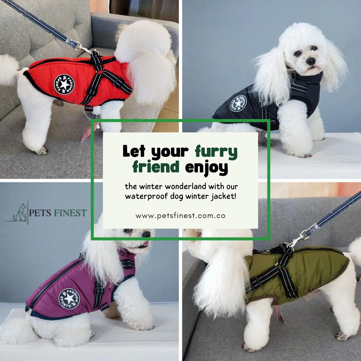 petsfinest's tweet photo. 🐶❄️ Whether they love playing in the snow or just need some extra warmth on their walks, this jacket has got them covered. 💦 With its durable waterproof fabric and cozy fleece lining.

🛍️ https://t.co/GOZe9f1el8
.
#DogWinterJacket #WinterDogGear #WaterproofDogJacket #DogJacket https://t.co/b0tcjakZC3