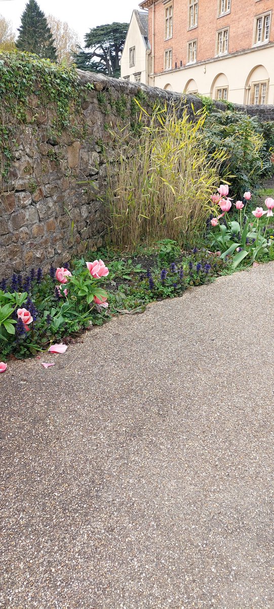 Woodland Routes to Wellbeing tweet media