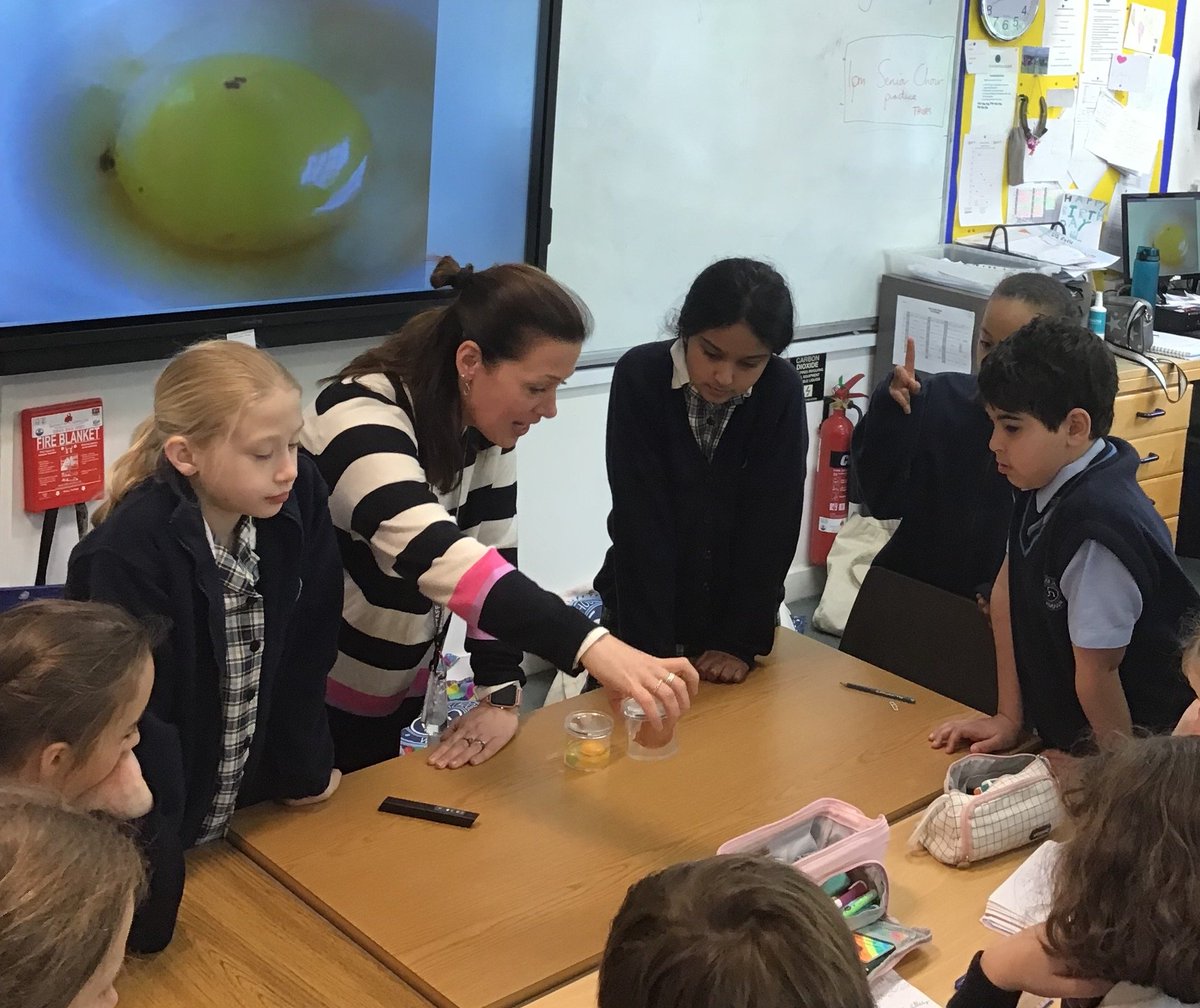 UptonSciences's tweet photo. @UptonForm5 were fascinated to discover the parts of an egg and their specific functions to supplement their studies of animal lifecycles #spotthechalaza! πͺΊπ£π¦ @UptonHouseSch #UptonJourney #futurebiologists #NaceUK https://t.co/L8iCDH4f7a