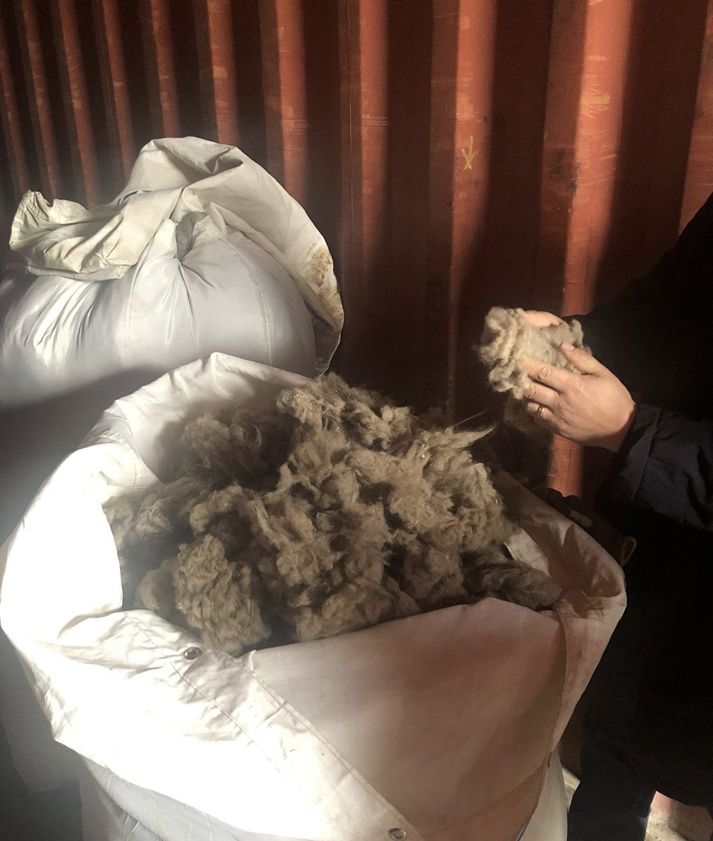enkhtuulsh's tweet photo. Бид жилд 10000 ТОНН НООЛУУР 26 сая ямаанаасаа самнан авдаг. 
Энэ нь дэлхийн нийт ноолуурын 40% юм. 
Гэвч дэлхийн эцсийн бүтээгдэхүүний зах зээлийн 0.16%-ийг эзэлдэг. Харин УГААСАН НООЛУУРЫН 90%, САМНАСАН НООЛУУРЫН 70%-ийг дэлхийн зах зээлд нийлүүлдэг. 
Энэ харьцааг л хэдүүлээ сайжруулмаар байна.