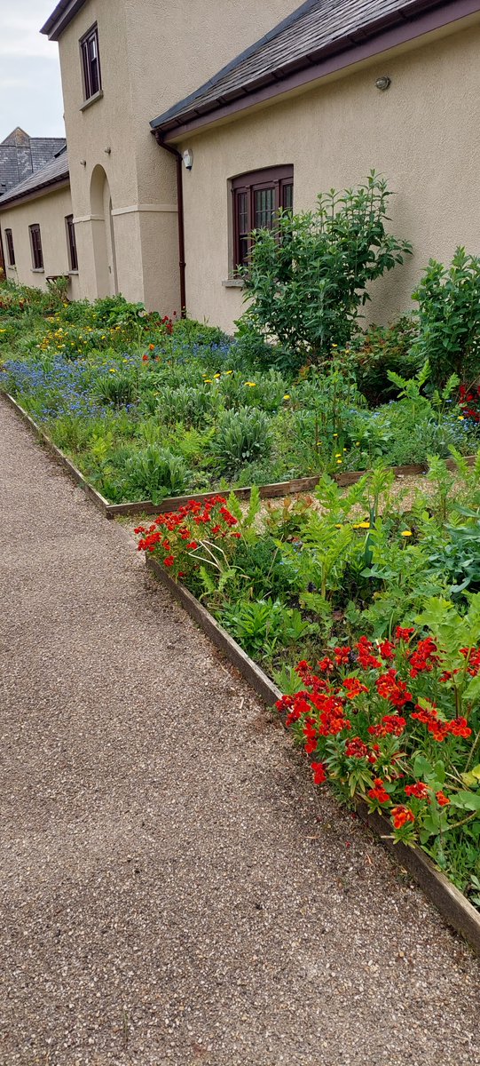 Woodland Routes to Wellbeing tweet media