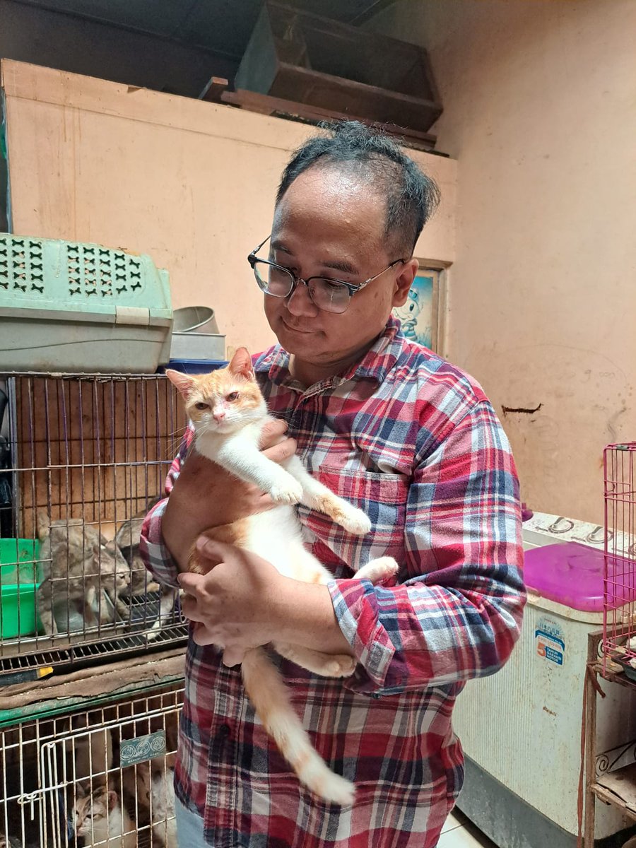sigitwid's tweet photo. Masih ingat Dave Latumeten? Sosok Pemuda Pancasila yang tanpa pamrih turun tangan menjadi relawan di SDN Pondok Cina 1 Kota Depok saat guru-guru dilarang oleh pemerintah kota untuk mengajar di sana akhir tahun lalu.

Hari ini saya bersilaturahmi ke rumahnya.

Satu hal yang menarik dari sosok seorang Dave, meski tampilan luarnya sangar, dia adalah seorang penyayang kucing “garis keras”.

Sebelumnya dia dan istrinya pernah menyewa rumah untuk dijadikan shelter kucing terlantar, namun sekarang puluhan kucingnya ditempatkan di rumah ibunya karena sewa tidak diperpanjang dan Dave harus merawat ibunya yang sakit.

Meski terpaksa berdesakan, Dave dan istrinya Ichy tetap berusaha merawat dengan baik kucing yang jumlahnya sekitar 50 ekor ini.

Kadang ada yang membantu memberikan makanan karena kucing-kucing ini membutuhkan minimal 60 kilogram makanan setiap bulannya. Tadi saya sempatkan membawa beberapa kantong makanan kucing.

Karena sudah dikenal sebagai penyayang kucing, Dave beberapa kali mendapati kucing diletakkan di depan rumahnya, atau bahkan ada yang membawa kucing hamil untuk dipelihara oleh Dave. “Saya memang sering melakukan rescue kucing, tapi kalau sudah tidak mau memelihara kucing, jangan dibawa ke sini juga. Boncos saya,” ujarnya sambil tersenyum.

Sosoknya memang unik, buat yang belum kenal Dave, mungkin akan menghindar saat bertemu di jalan. Tapi kalau sudah kenal, Dave adalah orang yang sangat ramah, hangat, dan bersahabat. Dia cenderung tidak bisa diam kalau melihat ada kucing menderita, apalagi disiksa.

Dalam segala keterbatasannya, Dave dan Ichy saat ini tengah berusaha untuk mencari rumah yang lebih luas untuk kucing-kucing ini. Apalagi di rumah itu sekarang ada satu ekor anjing yang diselamatkan Dave dari sebuah lapo. Dia mati-matian memaksa membeli anjing itu ketika akan disembelih.