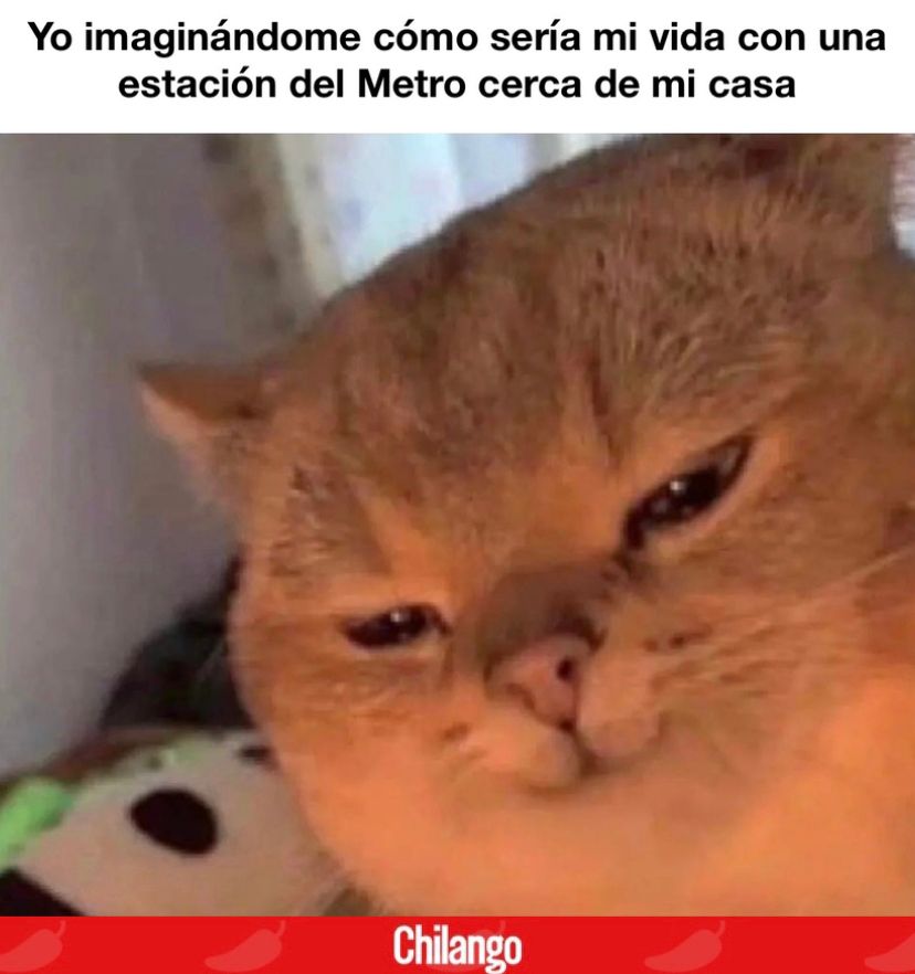 ChilangoCom's tweet photo. ¿Se imaginan todo lo que podríamos hacer con un Metro cerca? 🚇✨🥹 https://t.co/kzeYLhsxol