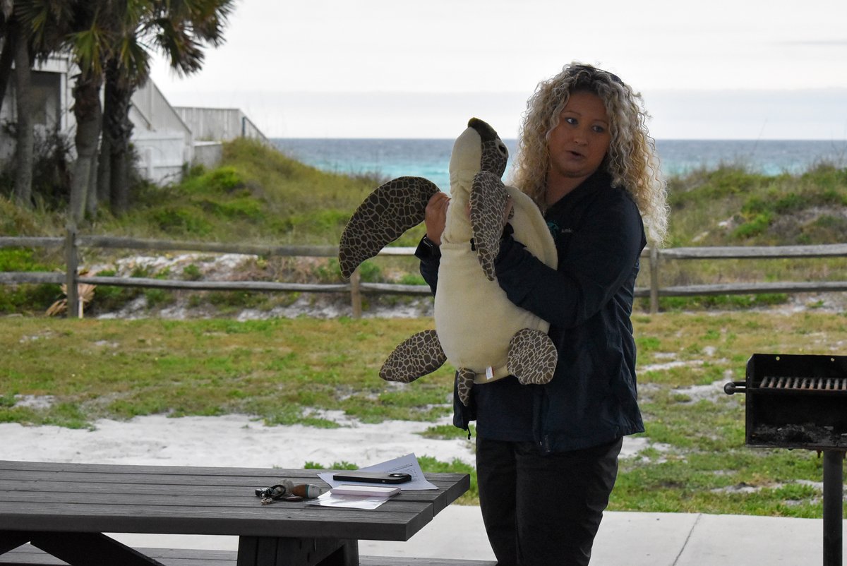 swfdinfo's tweet photo. SWFD Beach Safety had a great time catching up with South Walton Turtle Watch on Thursday ahead of the upcoming Sea Turtle Nesting Season.🐢🐢🐢

To our community's residents and visitors: Remember to use the number 850-865-4503 to report stranded, sick, or injured turtles. https://t.co/6cM14LfNyO