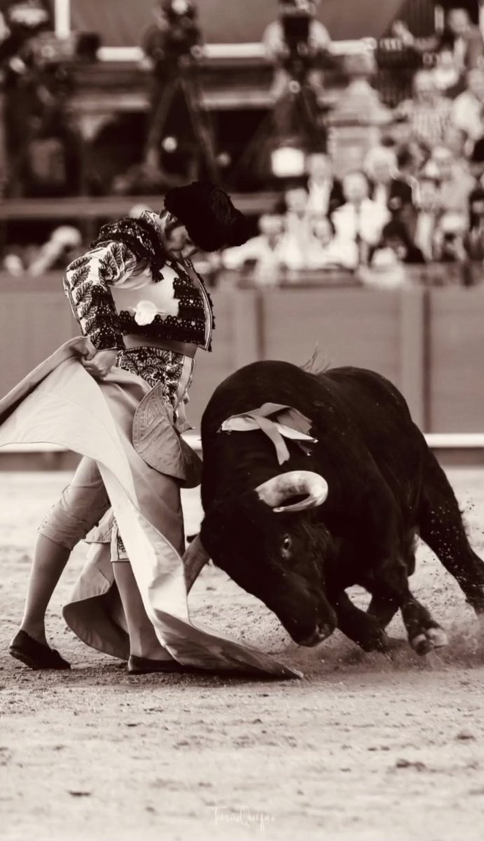 “Y mi padre decia… niñooo, a ver si te enteras de lo que estas viendo, que lo que estas viendo no lo vas a ver en tu p_____ vida”