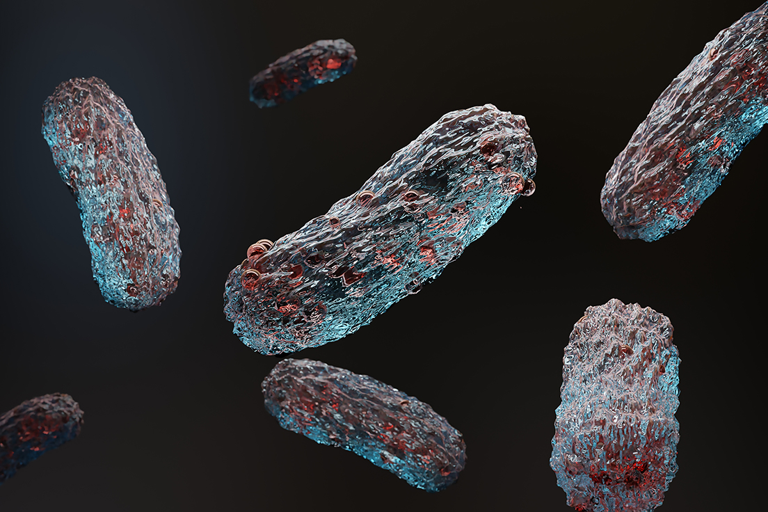 Treventis_corp's tweet photo. A random forest model recently revealed that increased concentrations of #Ruminococcus torques and #Collinsella and decreased concentrations of #Bifidobacterium were predictive of #dementia with #Lewy bodies.

Visit us at https://t.co/WgPcsu51kB

https://t.co/BReiLdnGU9 https://t.co/pVCH3tK96A