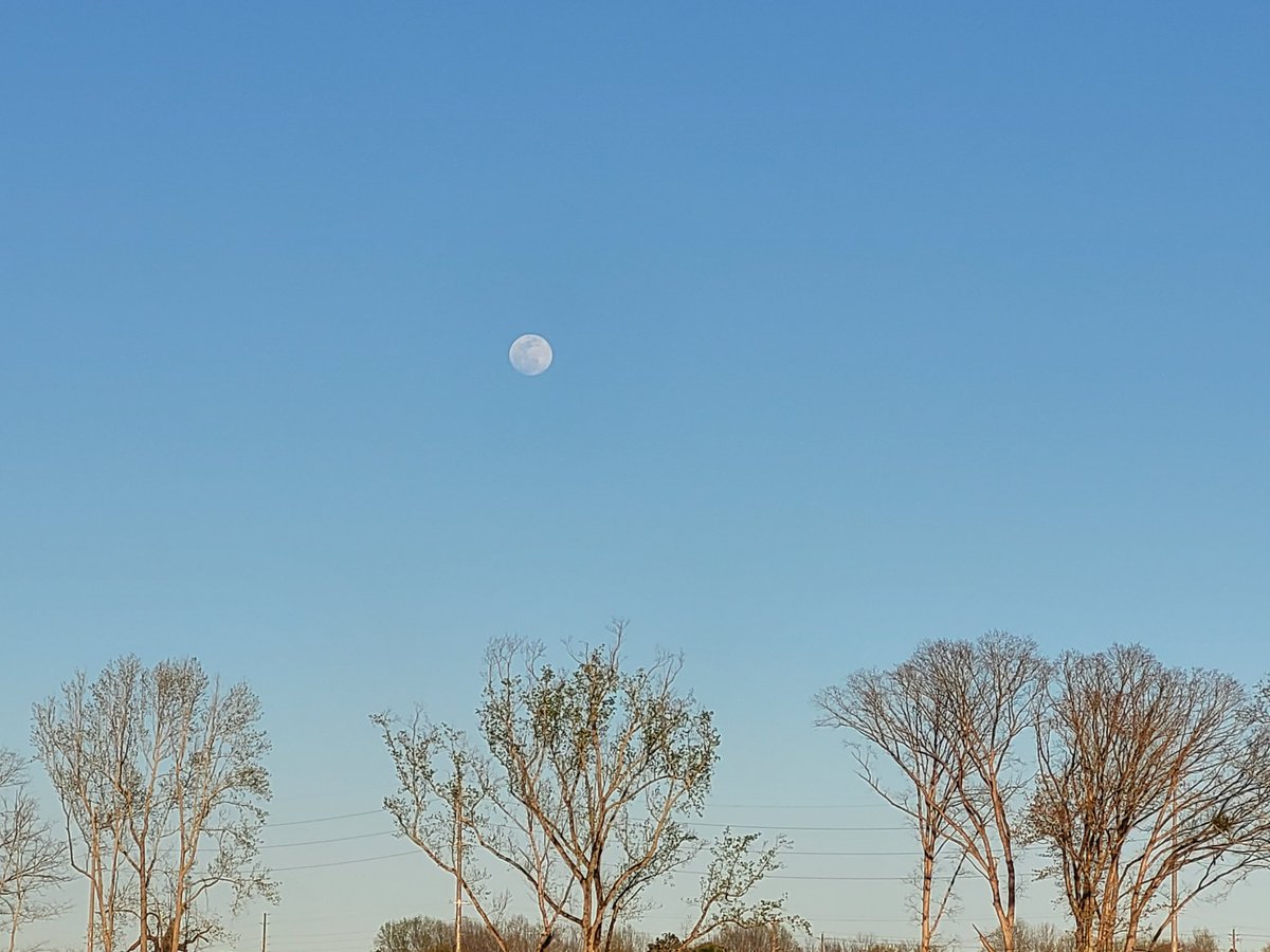 Can we eat a deers tumors?? What if we start eating tumors and it solves cancer 🎂