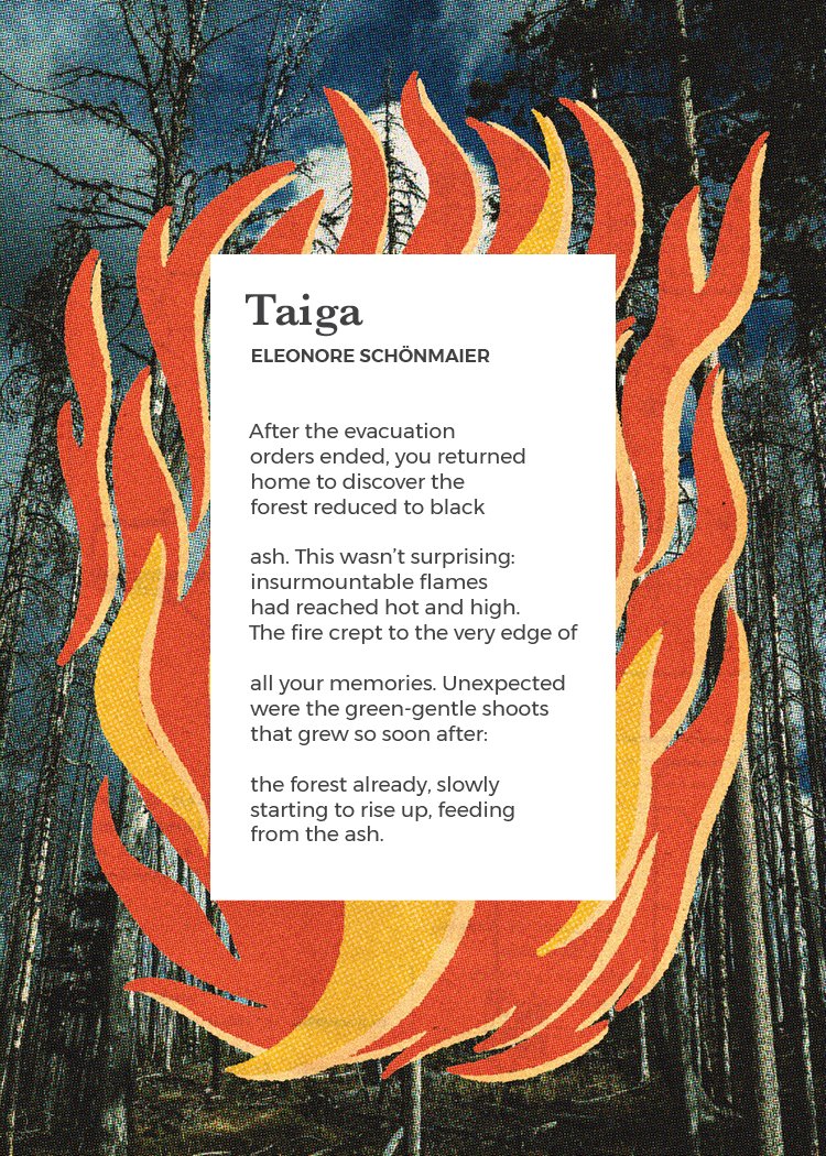 CanadianPoets's tweet photo. #PIYP #PocketPoem #NPM23
It's Poem In Your Pocket Day! How can you incorporate poetry into your day?
Here is "Taiga" by Eleonore Schönmaier. @ElSchonmaier 
https://t.co/6iJC4xXKqy https://t.co/8PJ0u9tOMm