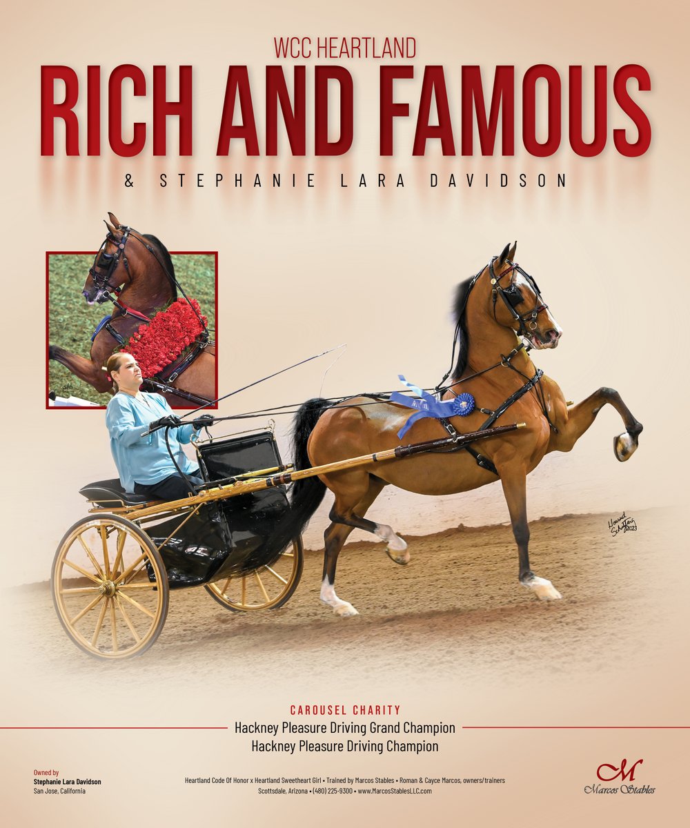 National Horseman tweet media