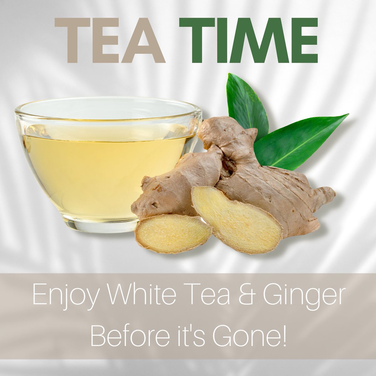 TheWatersSpa's tweet photo. Enjoy your Tea &amp; Ginger Mani/Pedi/Body before it's gone for good! (Yummy ginger shorttbread from @DanaShorttGourmet comes with your treatment!) https://t.co/tSthG2M757