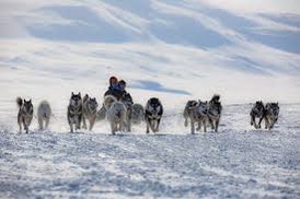 Literally tearing up listening to the <a href="/TheCurrentCBC/">The Current on CBC Radio</a> interview with Terry Uyarak about the #Nunavut Quest, climate change in the #Arctic &amp; his <a href="/TheJUNOAwards/">The JUNO Awards</a> nominated #music 👏🏽 @mattgallowaycbc