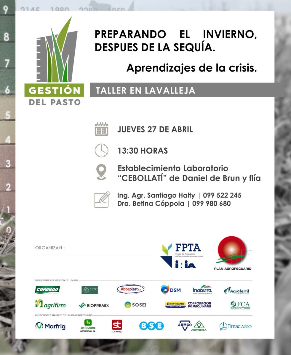 AgroAvisos's tweet image. Es hoy !!! 13.30 hs
Taller en Pirarajá, Lavalleja "Preparando el invierno, después de la sequía"
#planagropecuario
#johndeereinteragrovial
#armco
#marfrig