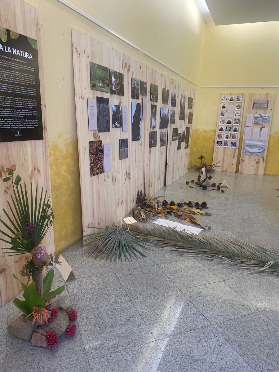 CRAImundet's tweet photo. Acte de cloenda de l'exposició "Art i Natura", al @craimundet amb la intervenció, entre d'altres, de la directora del CRAI UB, Judit Casals.
#craiub #unibarcelona #craimundet #exposicions #periscopi https://t.co/nVbl8ydypq