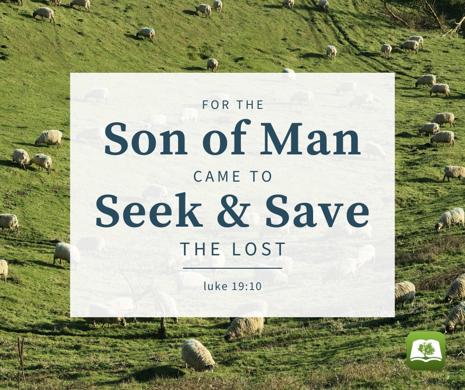 OliveTreeBible's tweet photo. Luke 19:10 For the Son of Man came to seek and to save the lost.
#olivetreebible #bibleapp #friendofgod #jesuspaiditall #inallthings #deeplyrooted #dailywisdom #savedbygrace #needprayer #encouragementgallery #godsnotdead #womenintheword #votd #verseoftheday https://t.co/WcbySu3Kjo