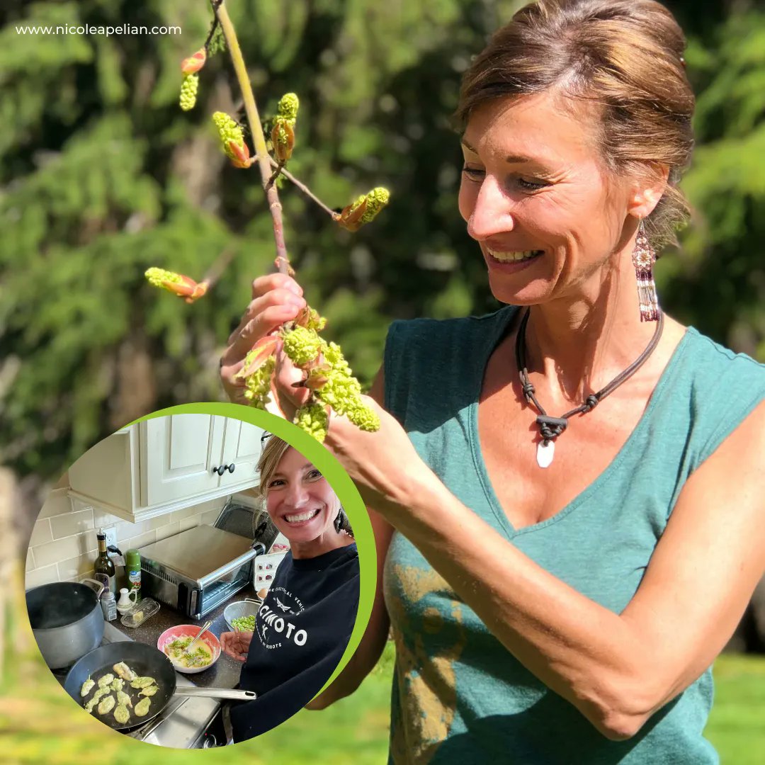 NicoleApelian's tweet photo. Check out what's #cooking in my kitchen! Big Leaf Maple buds are one of my favorite #spring greens! Not only are they #delicious raw, but they also make an amazing addition to any dish when cooked.

Give them a try this spring and let me know what you think! :-) #bigleafmaple https://t.co/33IYL4Z2Wj