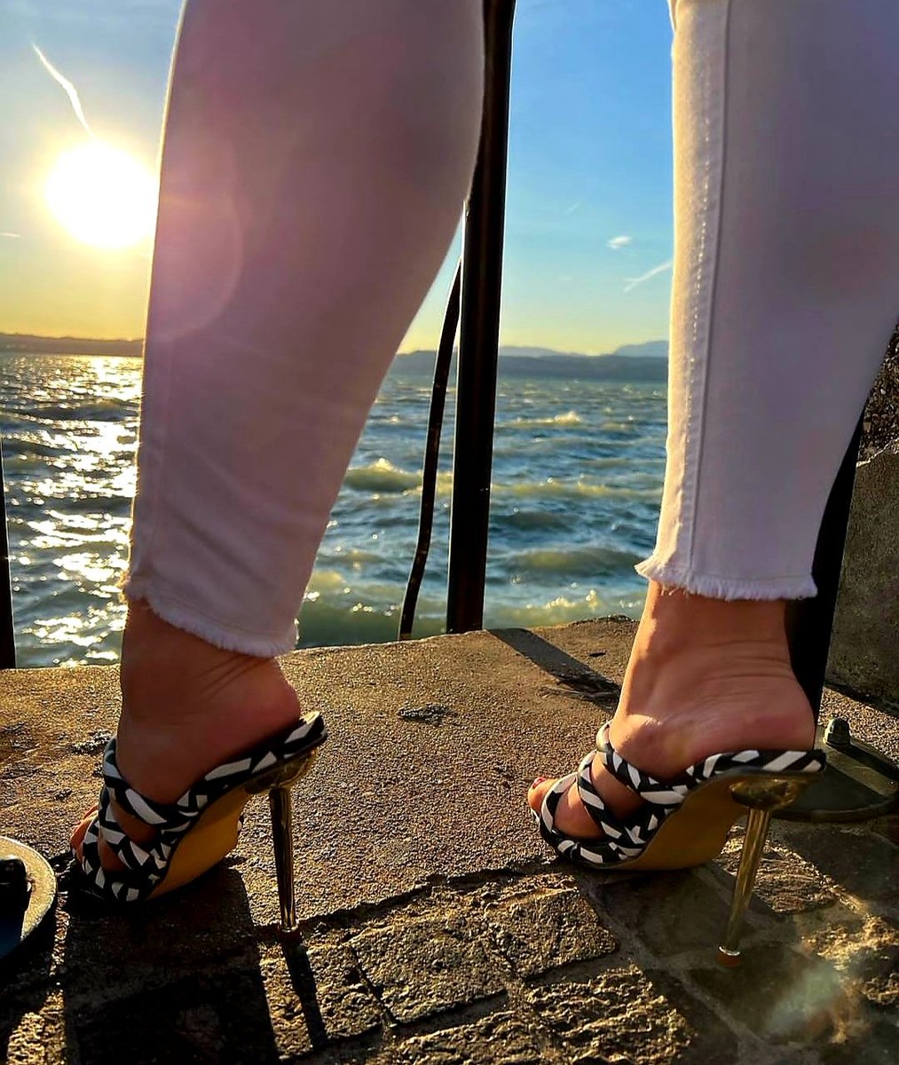 Bravebeaut's tweet photo. Debating on heading back to work or not after lunch 🌤 Thinking how ridiculous it is I am working today. 
When I should be at home draining every penny from your wallet #piggies #paypig #newsheels #sexi #hotgoddess #bossbitch #animalprintheels #footfetish #feetfinder #feetfethish https://t.co/bJPNhiNsDP