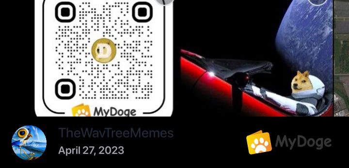 RWerkaccount's tweet image. #thewavtree
#dogetip