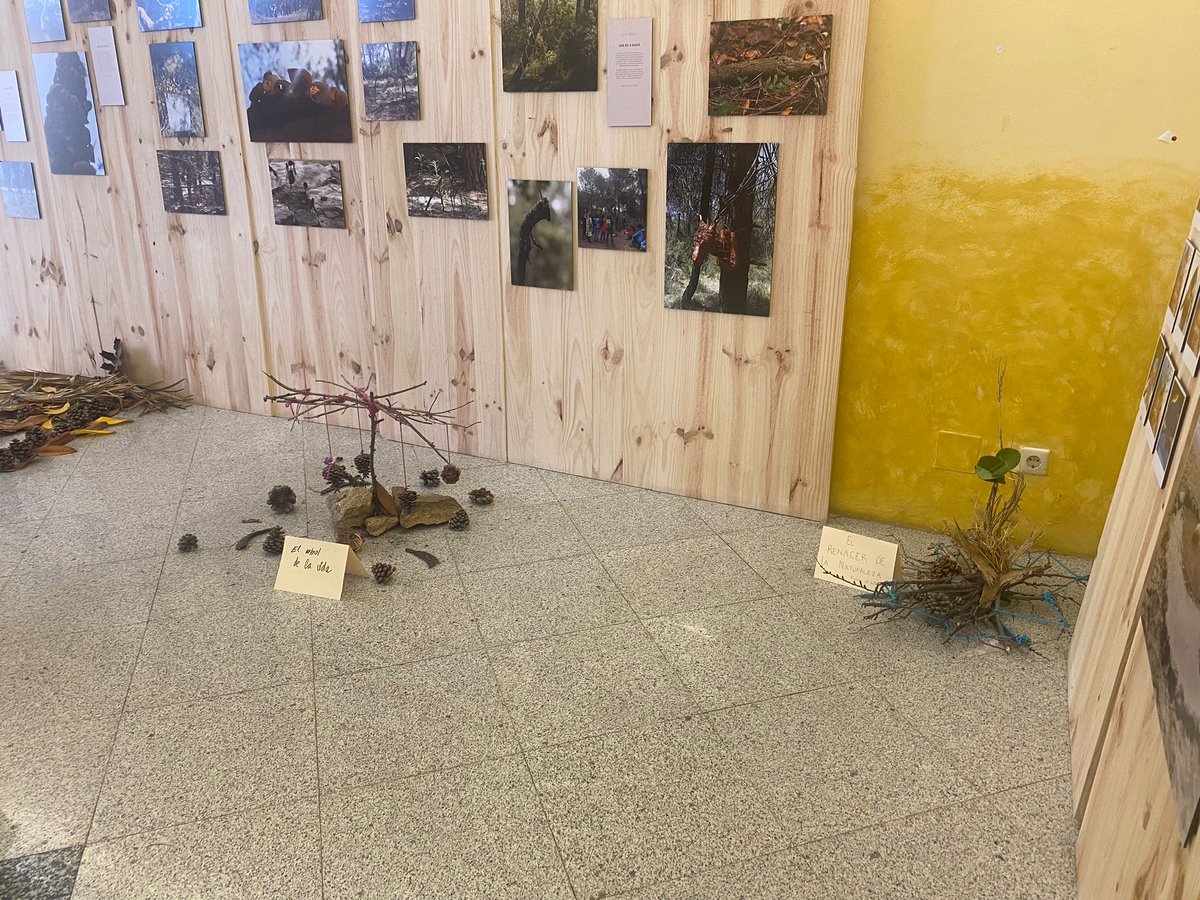 CRAImundet's tweet photo. Acte de cloenda de l'exposició "Art i Natura", al @craimundet amb la intervenció, entre d'altres, de la directora del CRAI UB, Judit Casals.
#craiub #unibarcelona #craimundet #exposicions #periscopi https://t.co/nVbl8ydypq