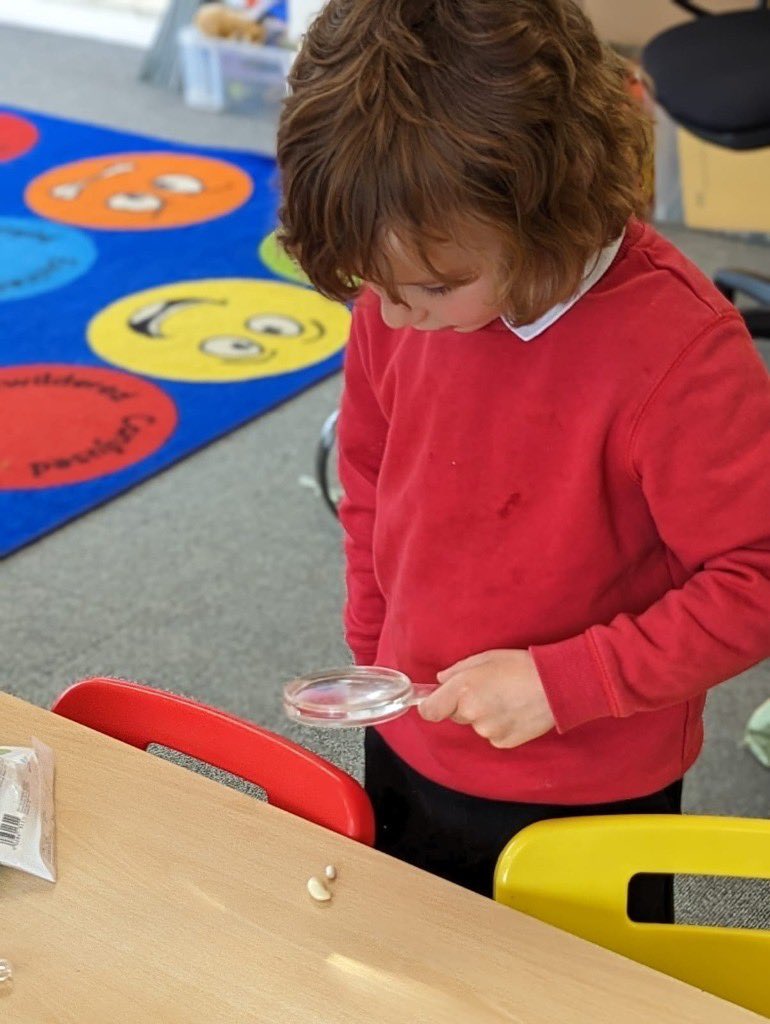 GA_Primary's tweet image. 🌽 🍅 Exploring different fruit and vegetables in class 1; discussing how they grow, what they need to survive and then planting our own potatoes with Mrs Rogers.🤞they grow!
#science #UTW #topicbasedlearning #letsgrow #healthyeating