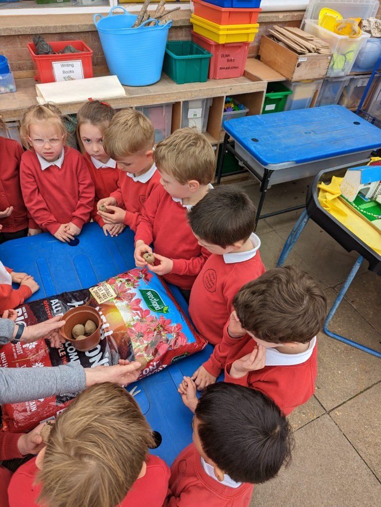 GA_Primary's tweet image. 🌽 🍅 Exploring different fruit and vegetables in class 1; discussing how they grow, what they need to survive and then planting our own potatoes with Mrs Rogers.🤞they grow!
#science #UTW #topicbasedlearning #letsgrow #healthyeating