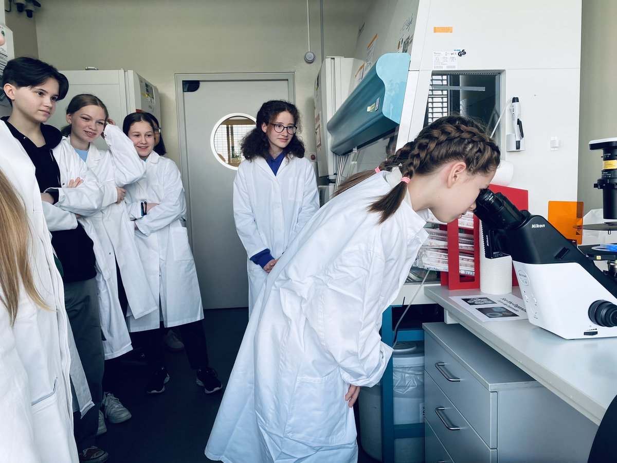 Girls‘ Day <a href="/mpicbg/">MPI-CBG Dresden</a> today 🥼: the @anne_grapin lab explained their work on pancreas organoids. It was an exciting morning! <a href="/Der_GirlsDay/">Girls'Day</a> #girlsday