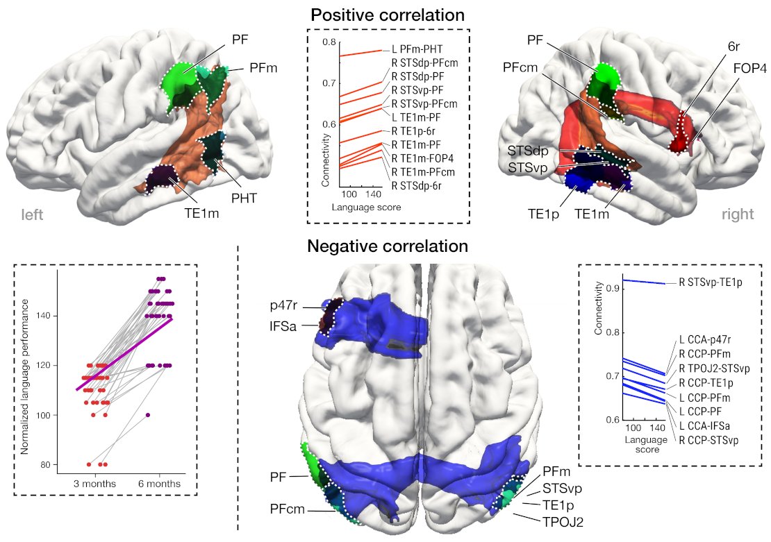 AlfredAnwander's tweet photo. Learning a new #language modulates the #connectivity in our brain - as function of the learning progress.
6 months of intensive learning of #German in a large group of native #Arabic speakers.
Amazing work w. @XuehuWei @tomasgoucha @FriedericiLab Preprint: https://t.co/YRHoNO53ca https://t.co/Q1CpqFQ6PP