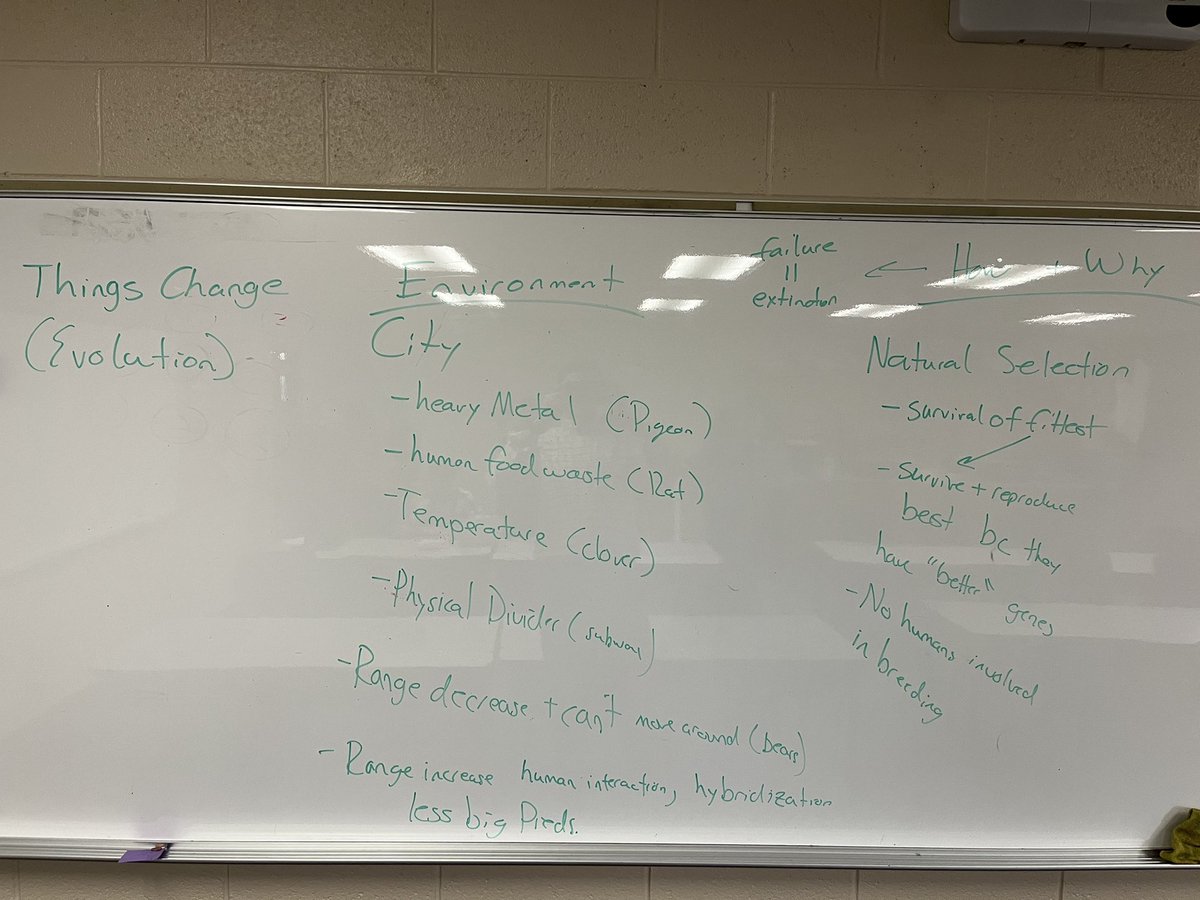 Recent consensus discussion using @OpenSciEd Biology. This makes it much easier to build out models that have all the things we have talked about! #ngsschat #miched #BuiltInRubric