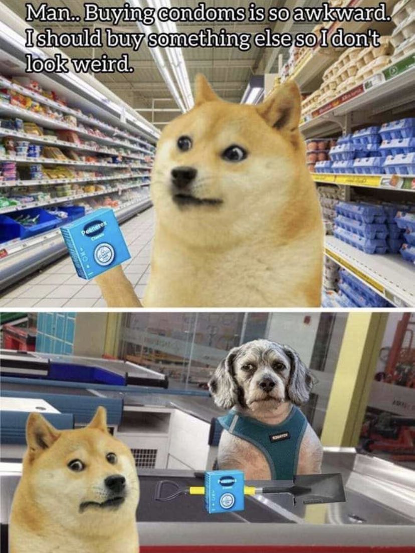 dogeofficialceo's tweet photo. https://t.co/MzPylbuCrZ