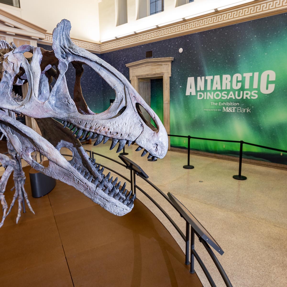 19 Ideas tweet media