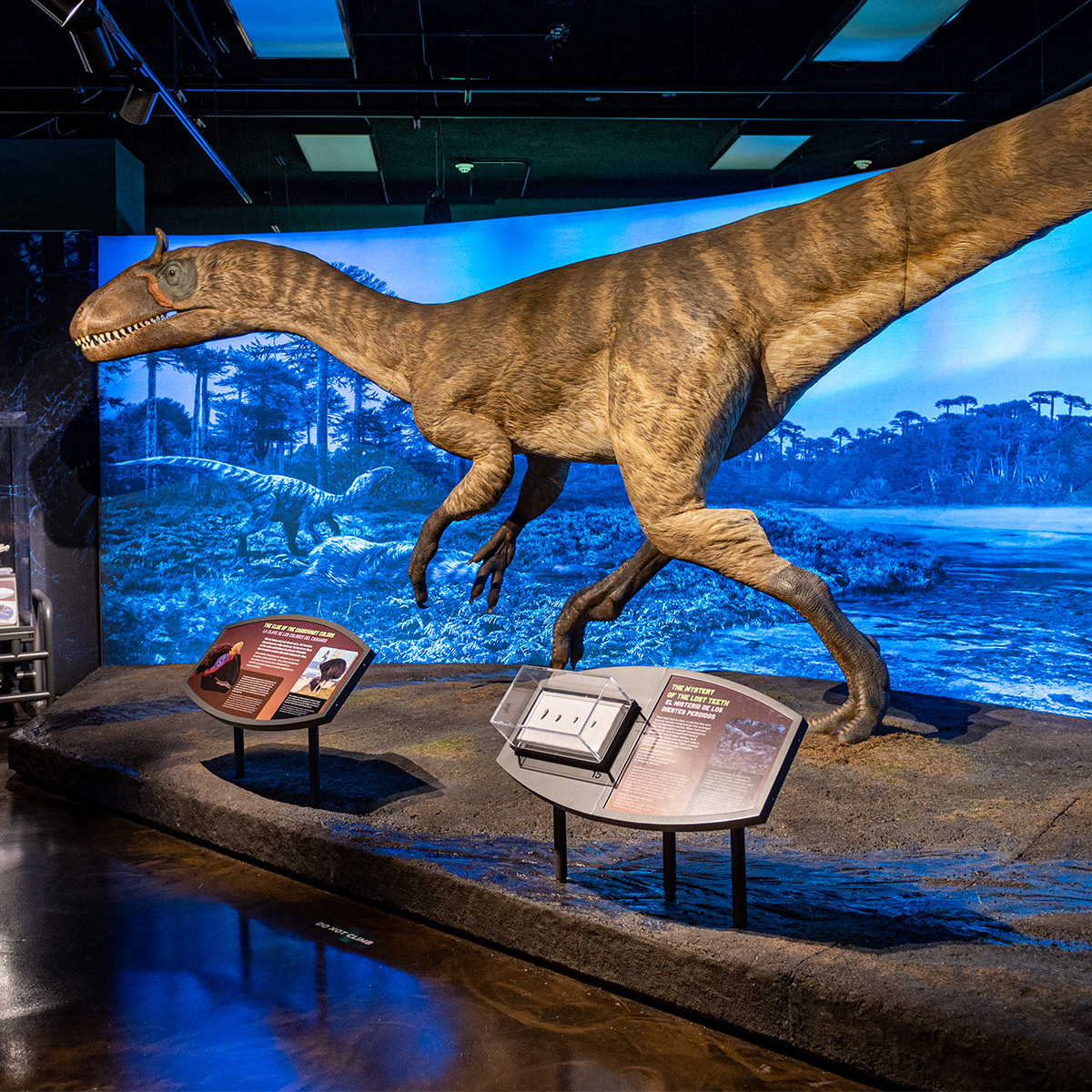 19 Ideas tweet media