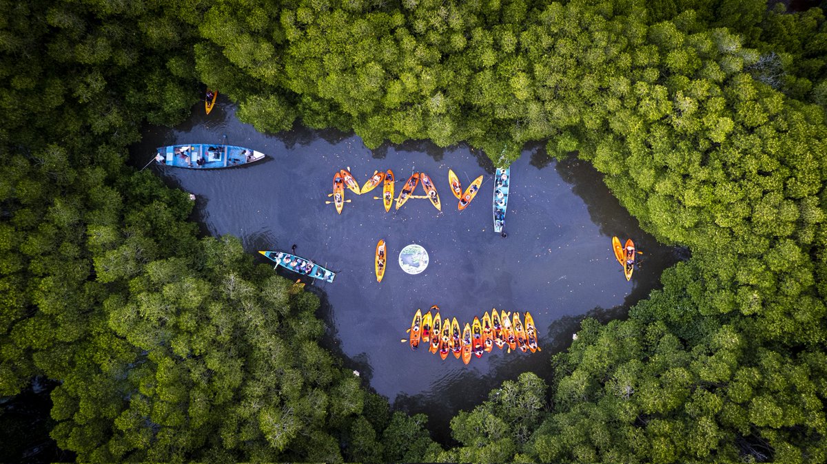 ಮತದಾನ ಪ್ರಮಾಣ ಹೆಚ್ಚಿಸುವ ಕುರಿತಂತೆ  ಜಿಲ್ಲಾ ಸ್ವೀಪ್ ವತಿಯಿಂದ ವಿವಿಧ ರೀತಿಯಲ್ಲಿ ಜಾಗೃತಿ ಕಾರ್ಯಕ್ರಮಗಳನ್ನು ಹಮ್ಮಿಕೊಳ್ಳುತ್ತಿದ್ದು. ಮೊದಲ ಬಾರಿಗ ಅತ್ಯಂತ ವಿಶಿಷ್ಟ ರೀತಿಯಲ್ಲಿ ಹೊಳೆಯ ಮಧ್ಯೆಯಲ್ಲಿ ಕಯಾಕಿಂಗ್ ಮೂಲಕ ತೆರಳಿ ಮಾಂಗ್ರೋವ್ ಕಾಡುಗಳ ಮಧ್ಯೆ ಕಯಾಕ್ ಗಳಲ್ಲಿ ವಿನೂತನ ರೀತಿಯಲ್ಲಿ ಮತದಾನ ಮಹತ್ವ ಕುರಿತು ಜಾಗೃತಿ ಮೂಡಿಸಲಾಯಿತು