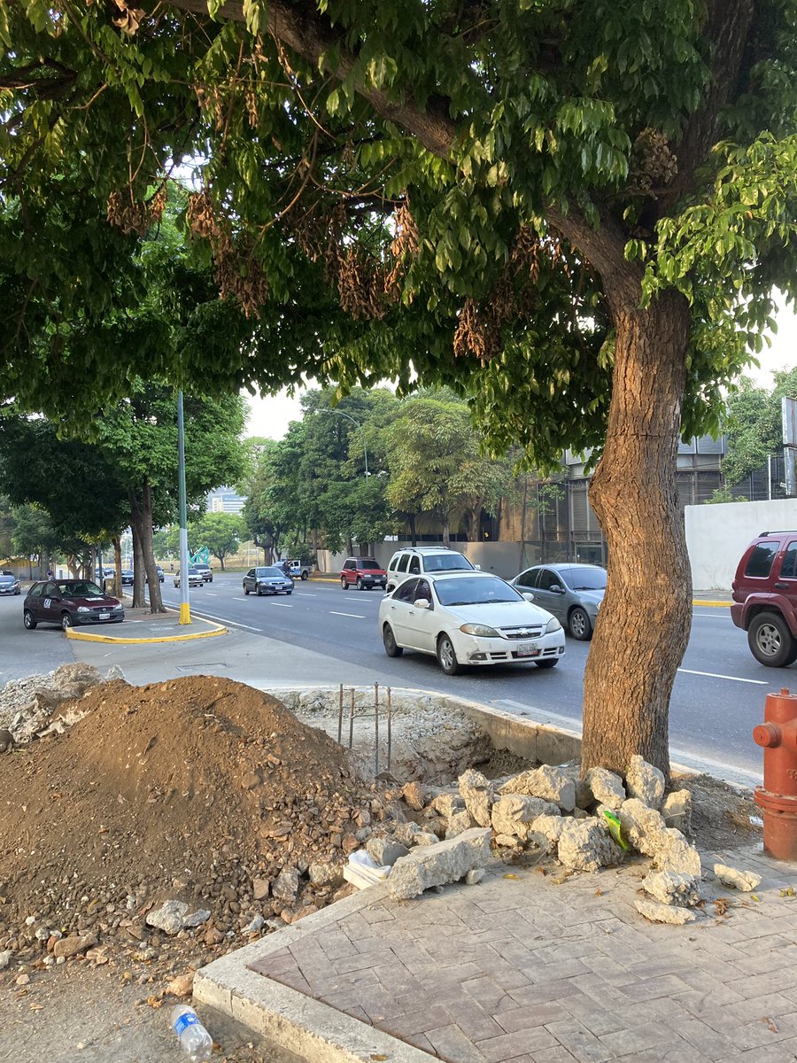 PlantadosCCS's tweet image. Si es valla o pantalla los árboles más cercanos hacia abajo también estarían en riesgo.

¿Los vecinos fueron notificados de este trabajo de la Dirección de Obras Municipales de Chacao?