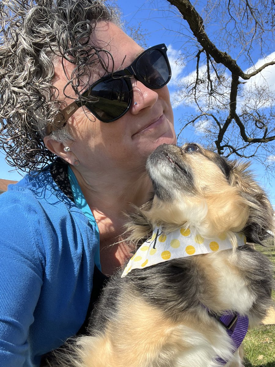 thetrojankitten's tweet image. Inspired by @procuddlehustle, let me introduce Dax. We are available for cuddle doubles.  😉 Coming to San Diego starting in June! #cuddlepup #cuddletherapy