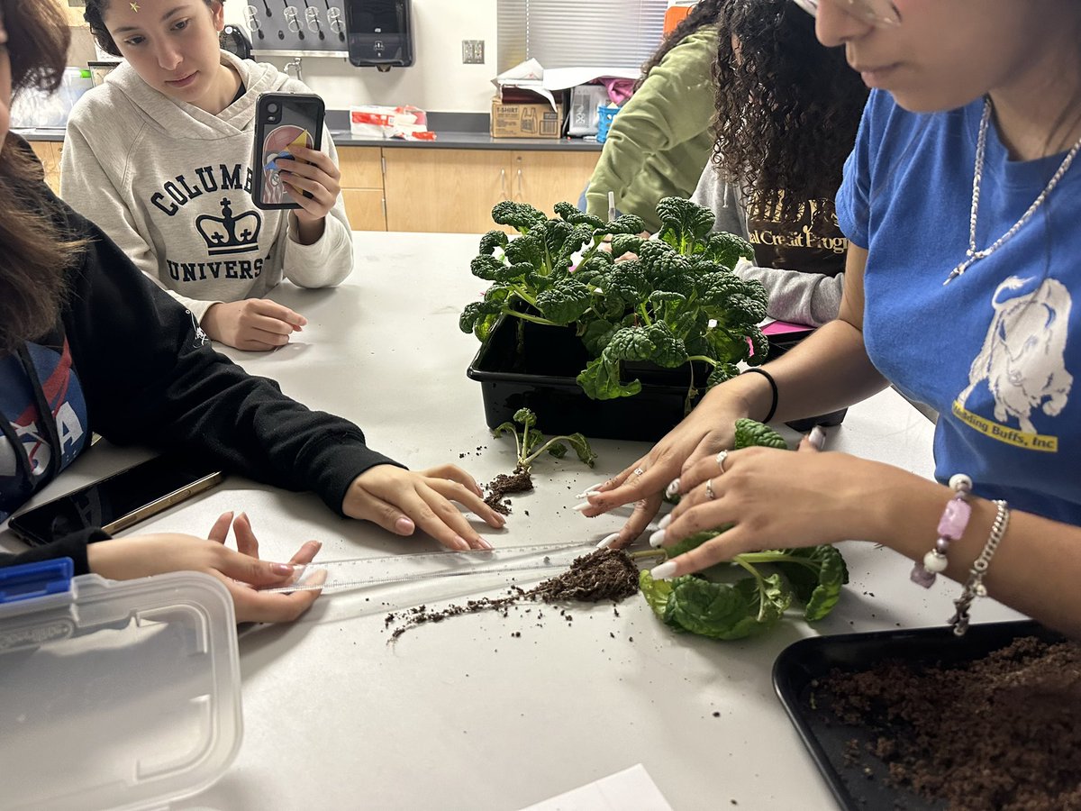 Pablo Banda tweet media