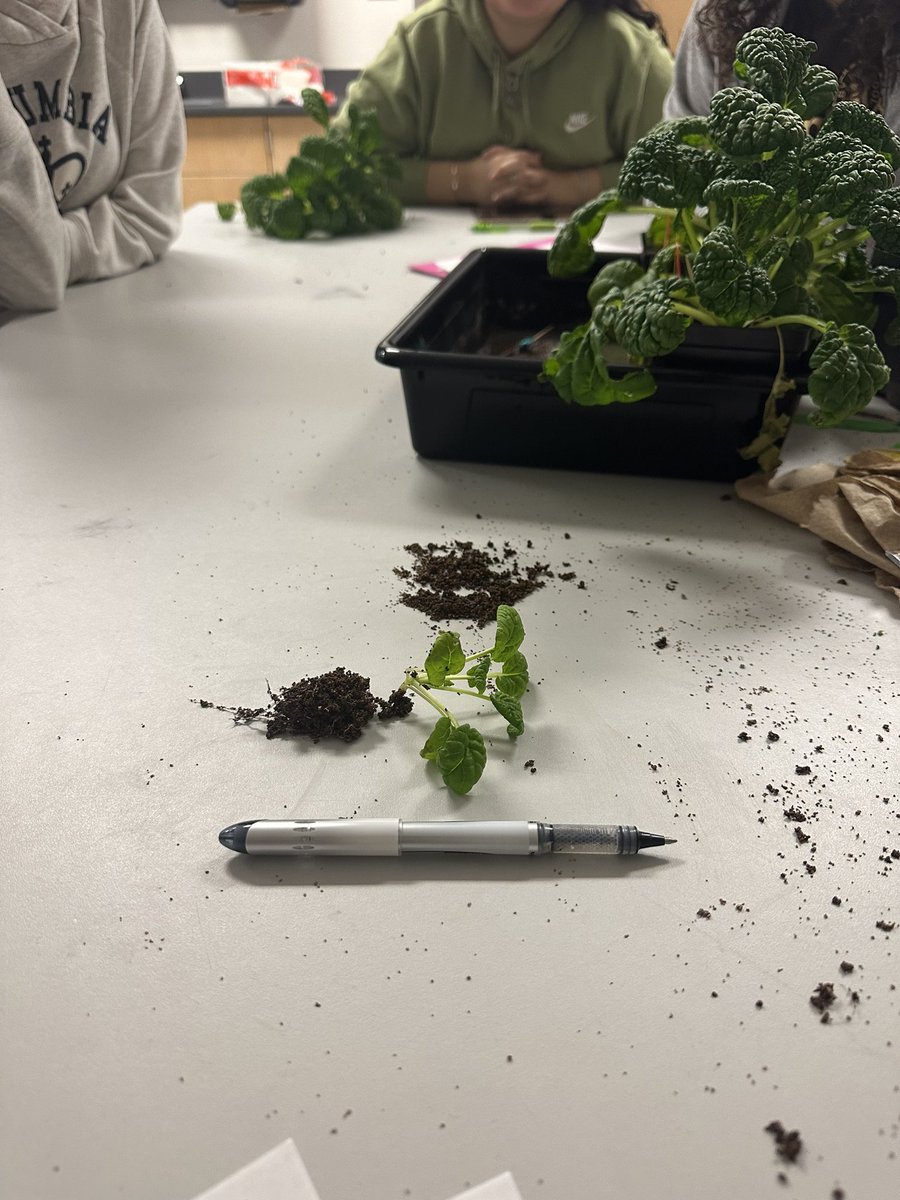 Pablo Banda tweet media