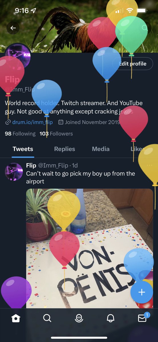 Flip (@Imm_Flip) / Posts / X