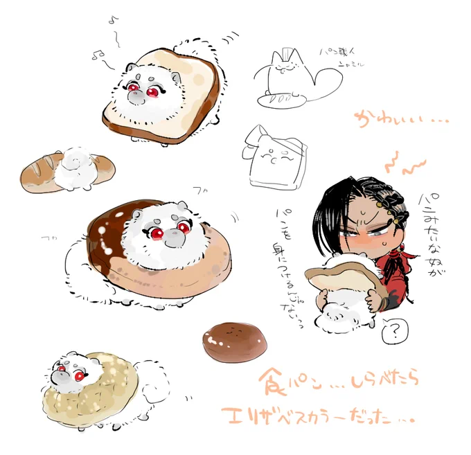🍞ぽめ動画かわいかった 