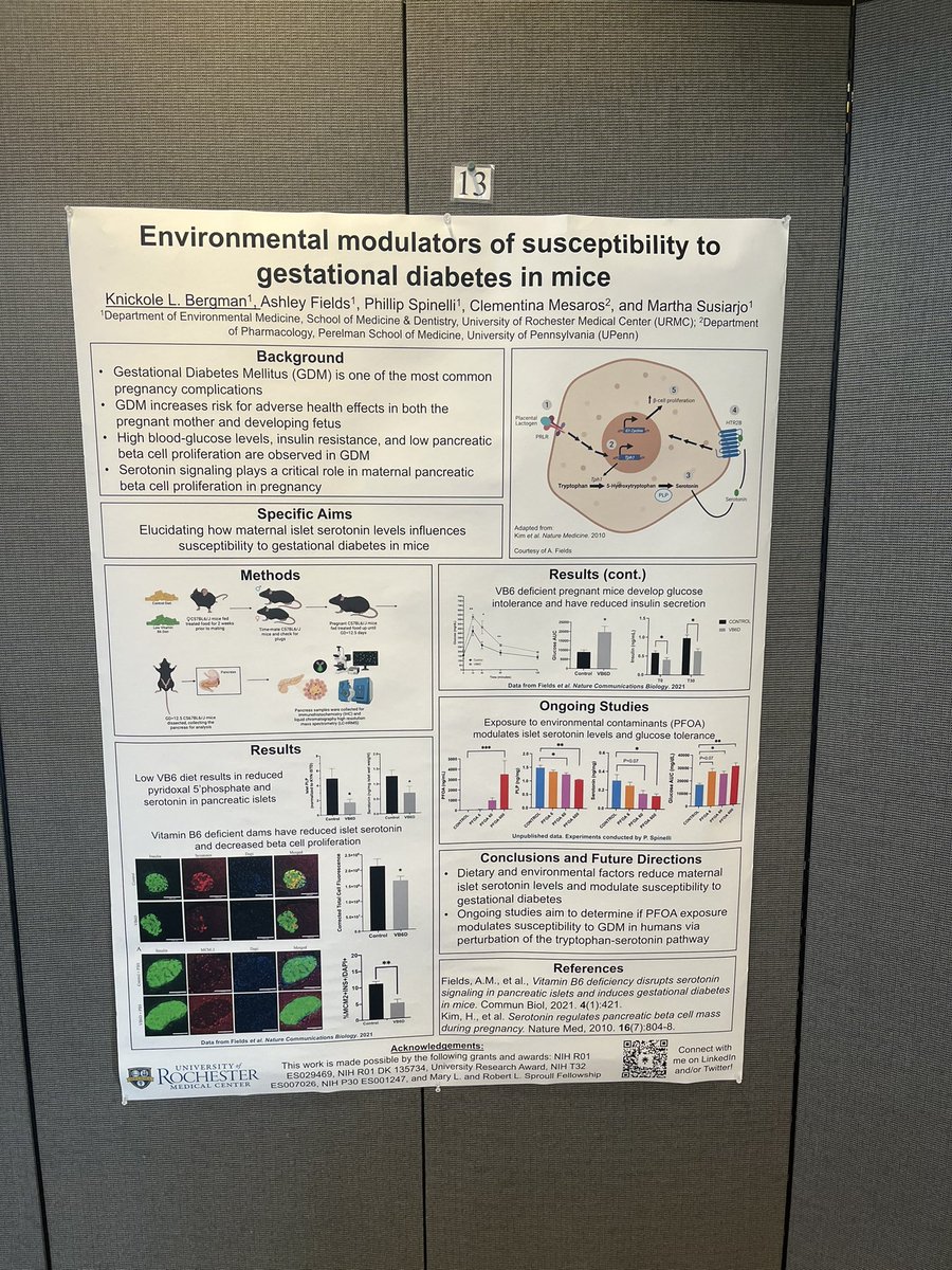 Knicki Bergman (she/her) tweet media
