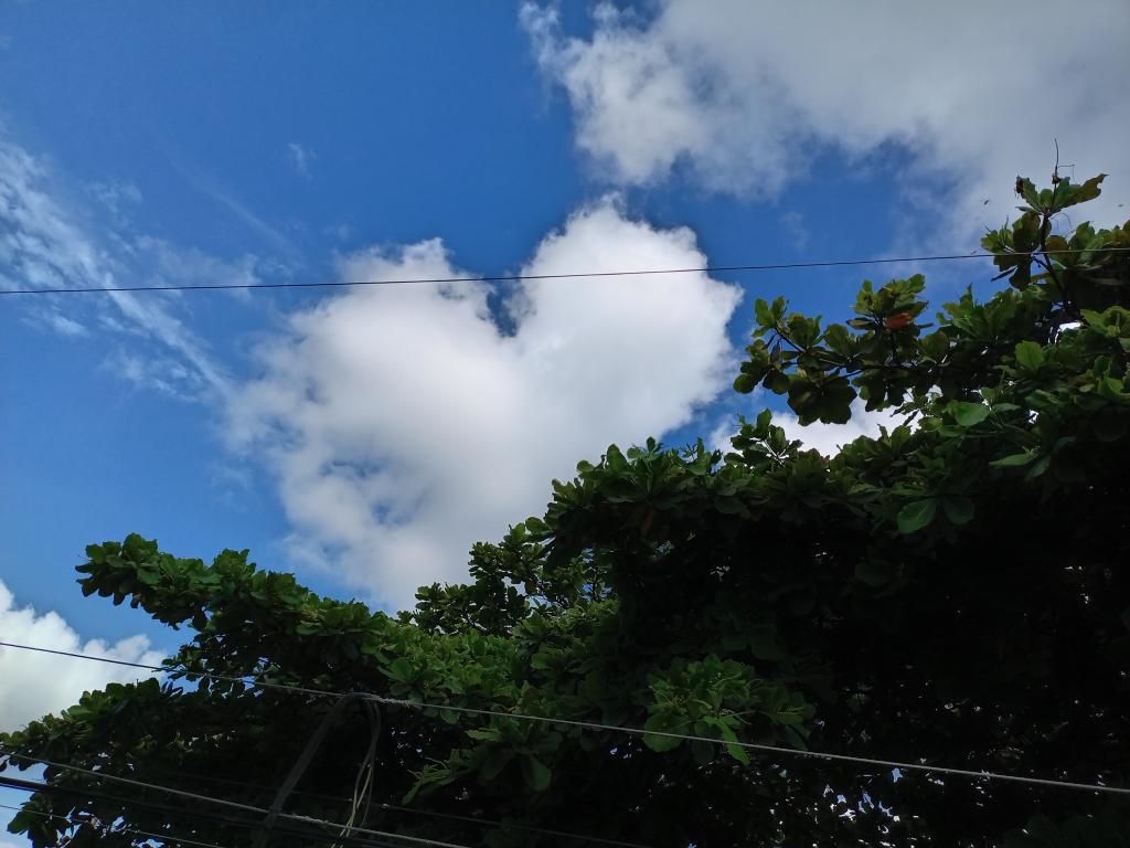 oliliamedranda's tweet photo. 😍 El cielo está enamorado ❤️
#Fotografia #Cielo #Paisaje https://t.co/Hc4sjncSIa