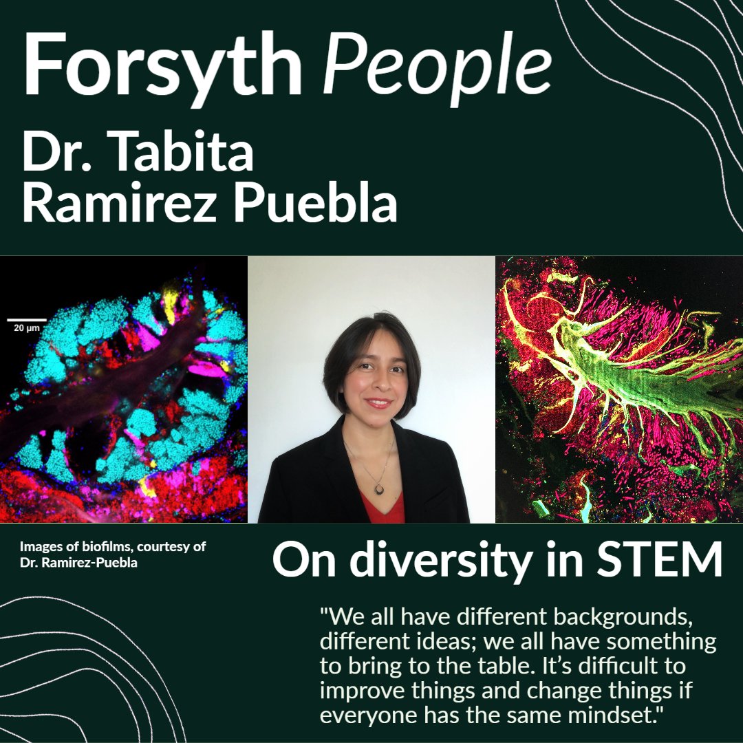 ForsythResearch's tweet photo. "Diversity is important because nature likes diversity." Dr. Tabita Ramirez-Puebla shared her thoughts on diversity in STEM and how her passion for her work brought her from Mexico to the US. Read the full Q&amp;A here
https://t.co/am5RdEep7s https://t.co/YdUtF6FfPI