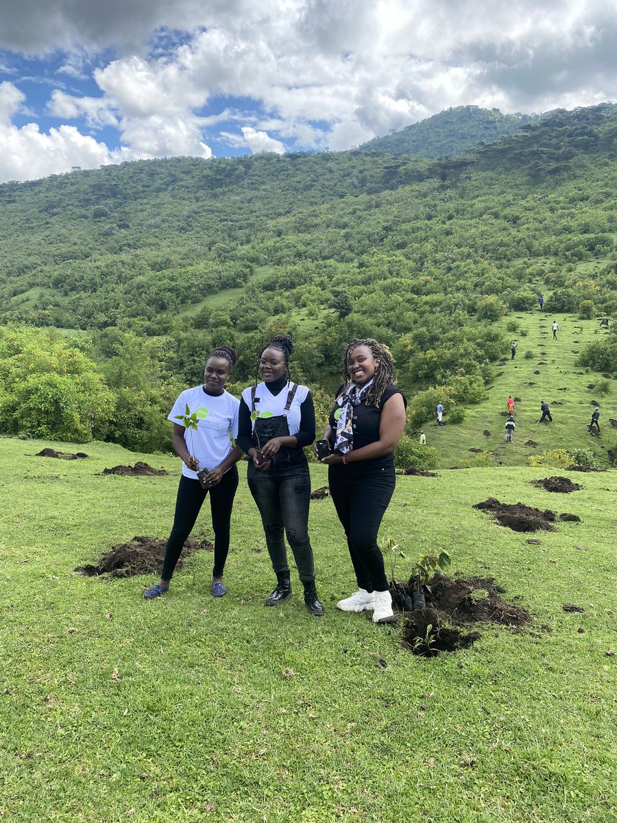 Lisa Njenga tweet media