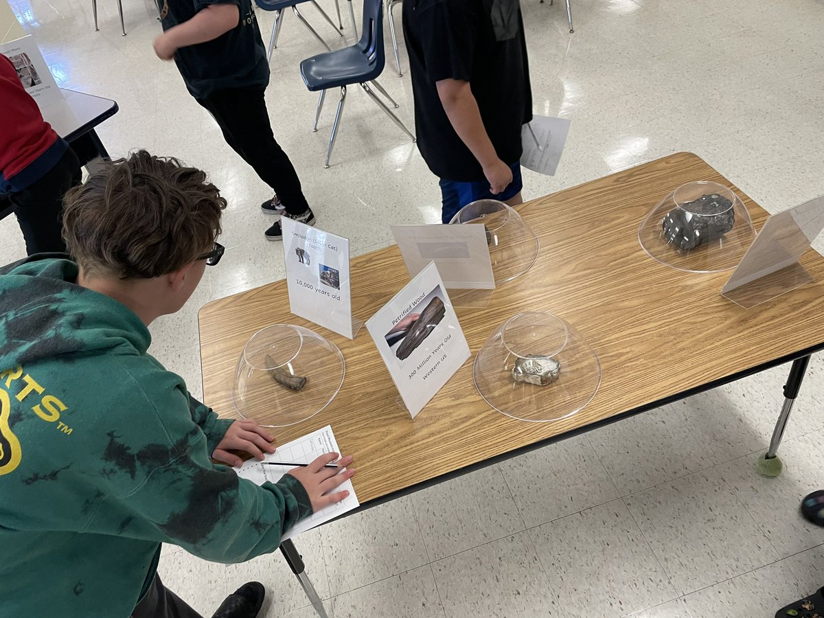 MsFoxGMS's tweet photo. Spending the day with our year 2 students and FOSSILS! https://t.co/7gDBHV9kpo