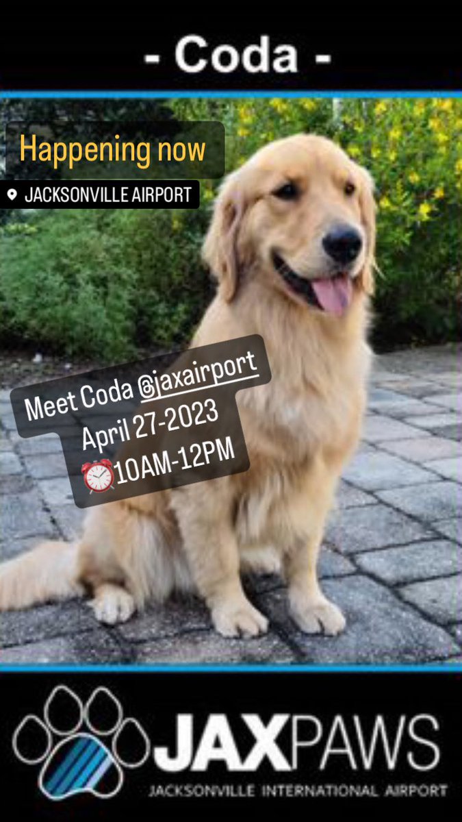 Meet Coda @JAXairport 
April 27-2023
⏰10AM-12PM

#airporttherapydogs #jaxpaws 

Photo Anne MB via Facebook