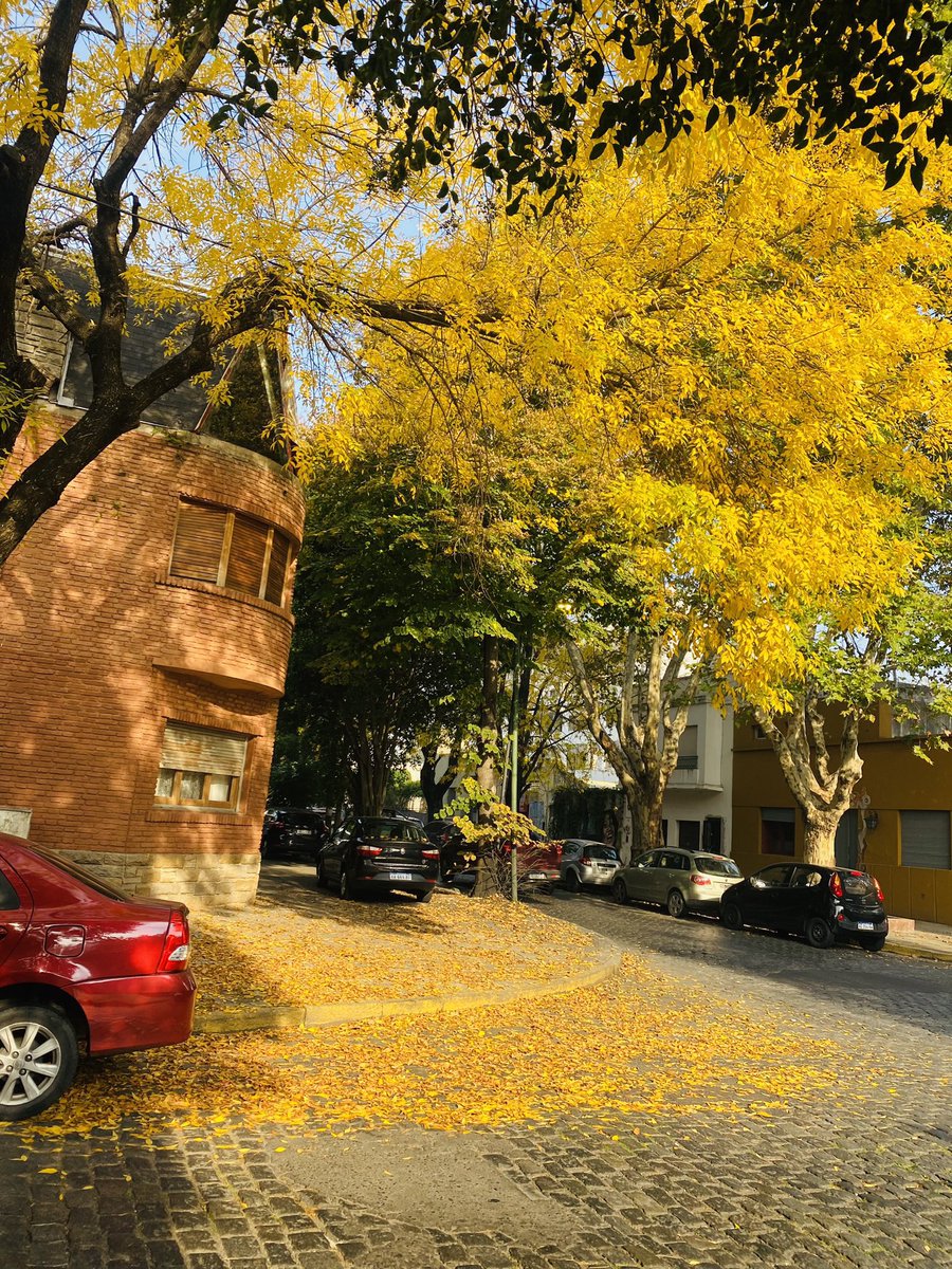 los colores del otoño.