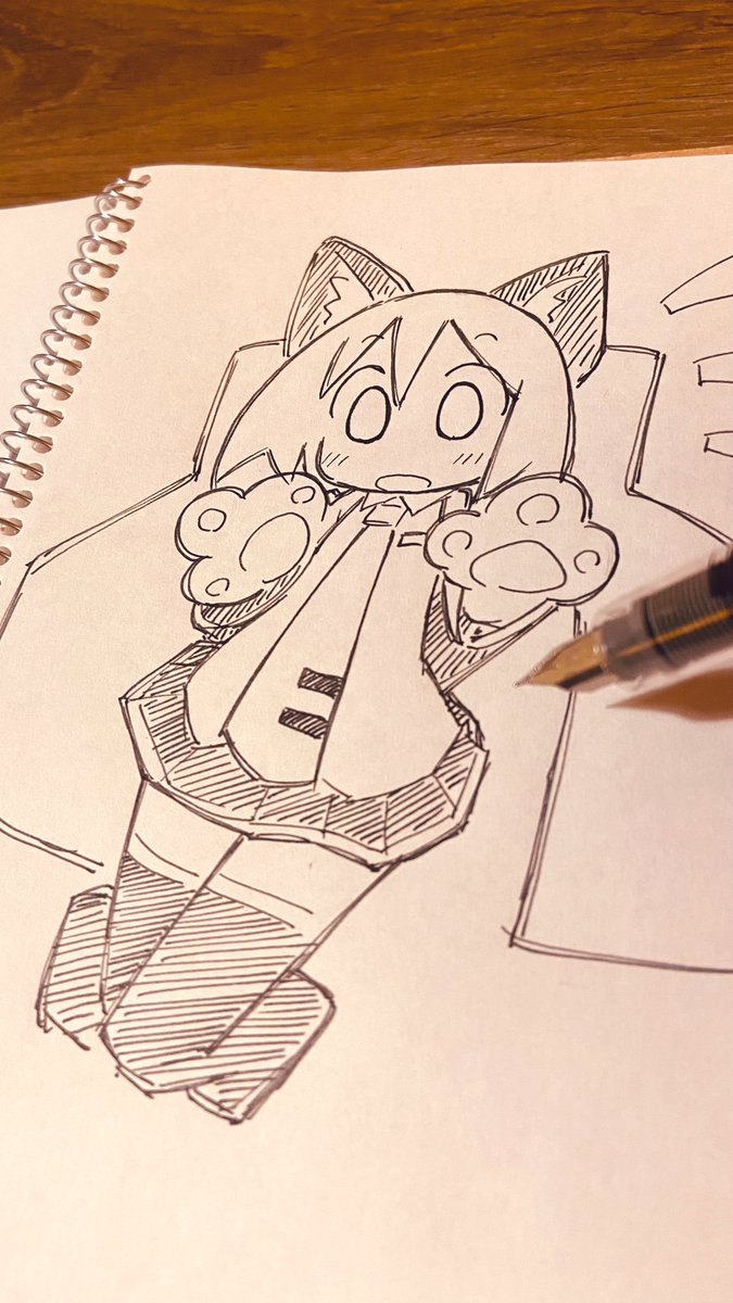 にゃー!!(*'Д`*)ぁー 