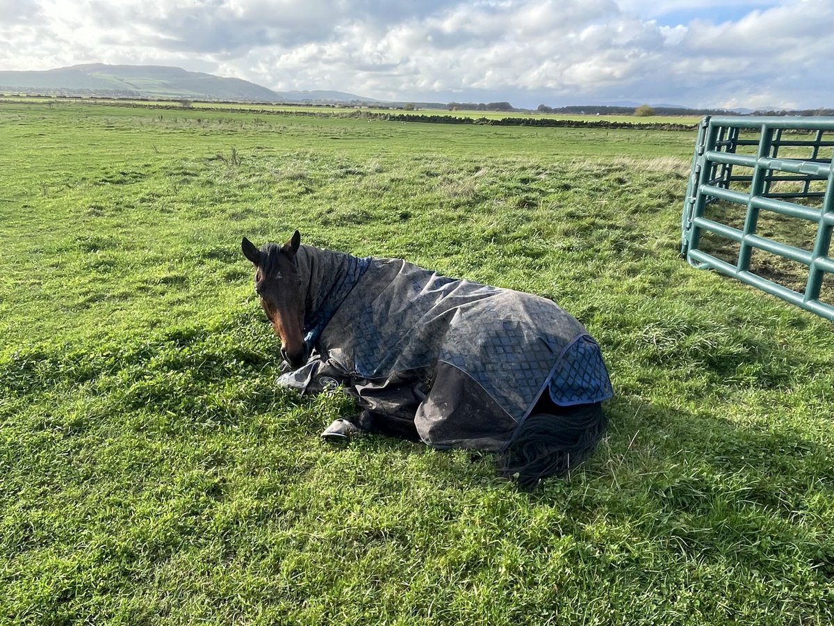 Catriona Bissett tweet media