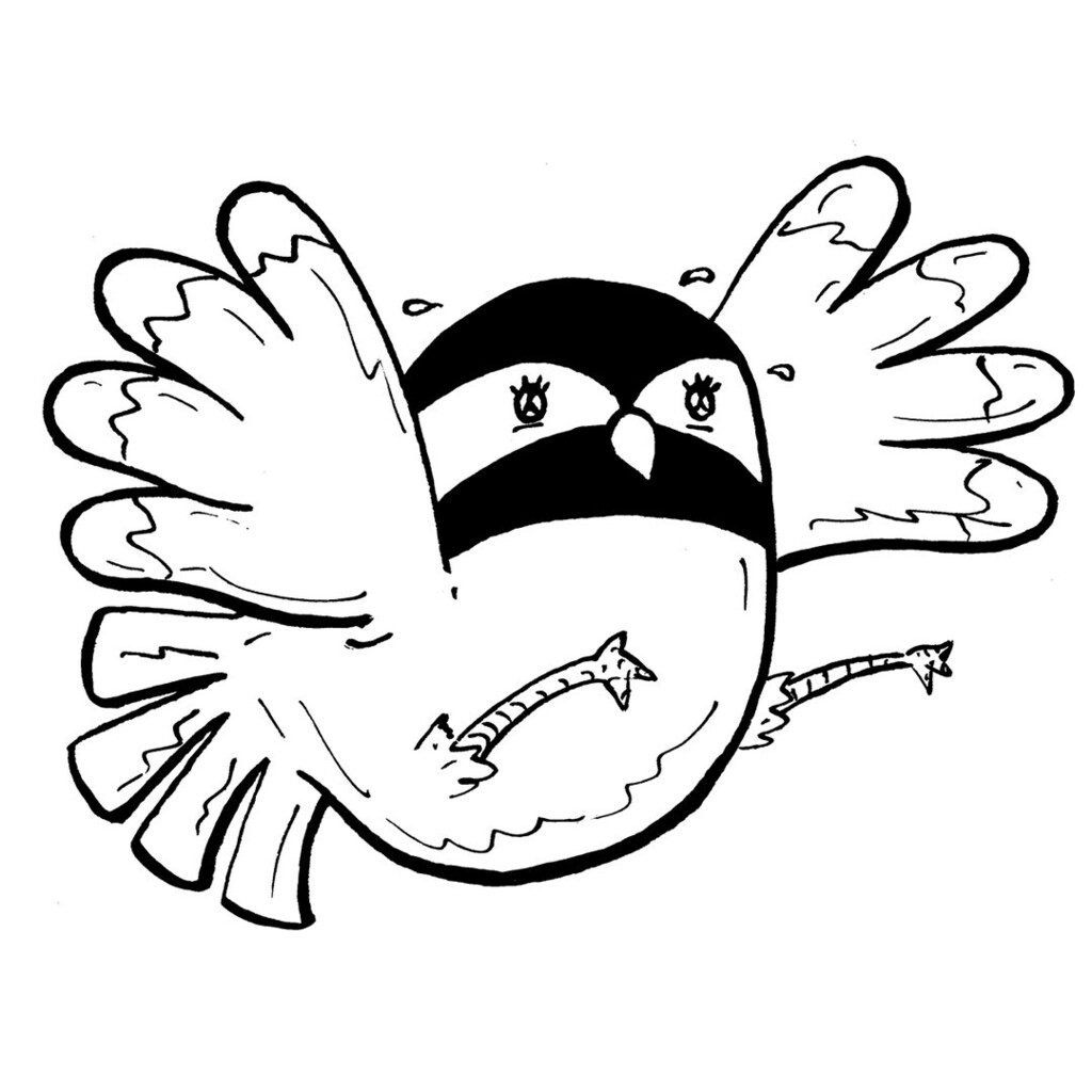 P. Calavara tweet media