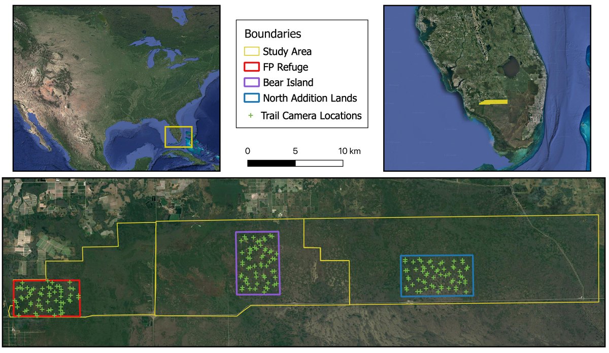 ESAEcosphere's tweet image. A new study uses #CameraTrap data &amp;amp; #SpatialCaptureRecapture modeling to estimate survival of #WhiteTailedDeer fawns in south Florida

doi.org/10.1002/ecs2.4…

#NoninvasiveResearch #SCRModel #OpenAccess @KN_Engebretsen @UGAWarnell @MyFWC @USFWS @BigCypressNPS